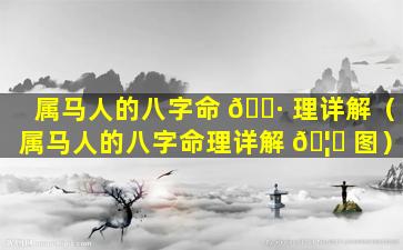 属马人的八字命 🌷 理详解（属马人的八字命理详解 🦋 图）